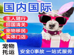 芒市空运地址国际宠物托运 【国